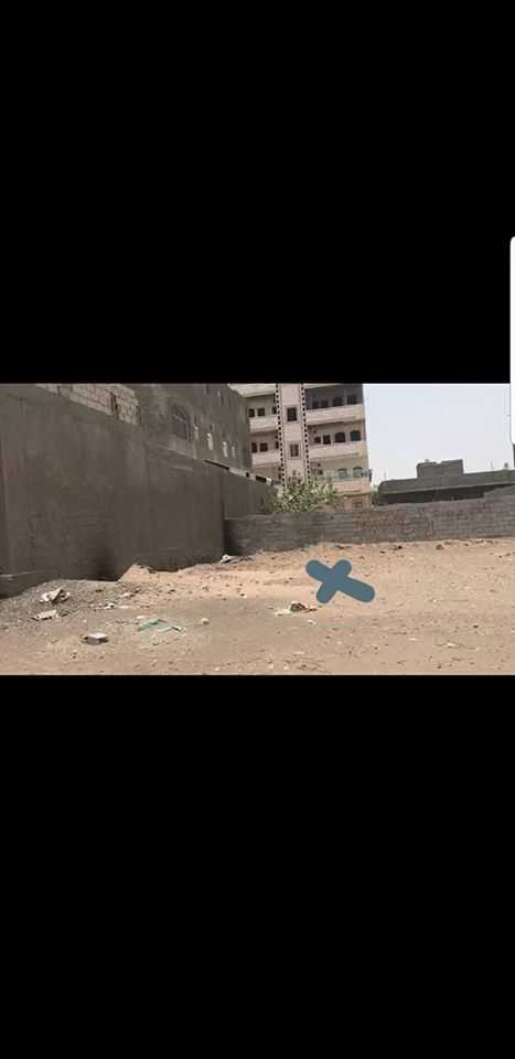 ارضيه في اللحوم سكني