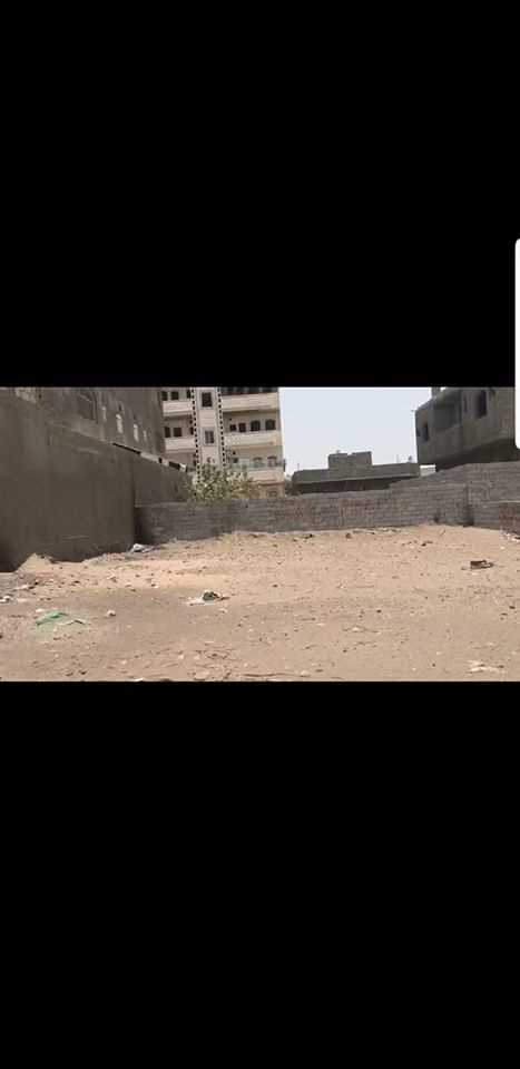 ارضيه في اللحوم سكني