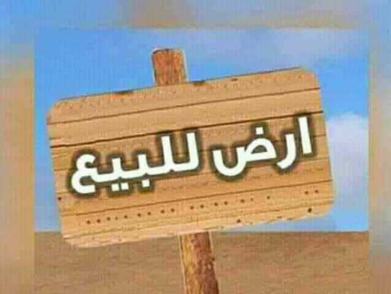المعلا الدائري