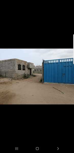 قطعه ارض في الدواجن بجانب اللحوم