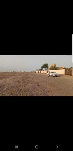 فلة في المدينة الخضراء