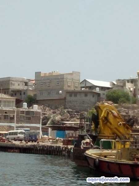 التواهي