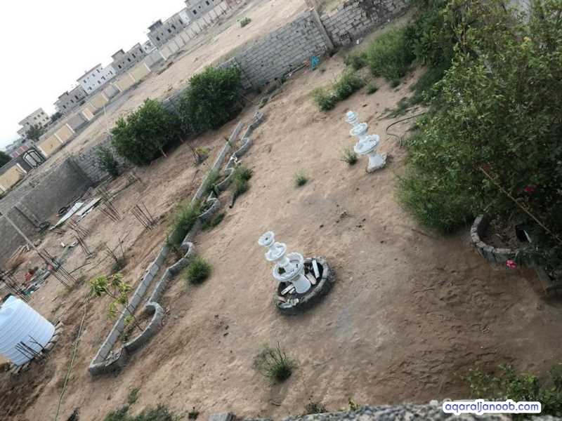 بير احمد /مدينة الجوكر
