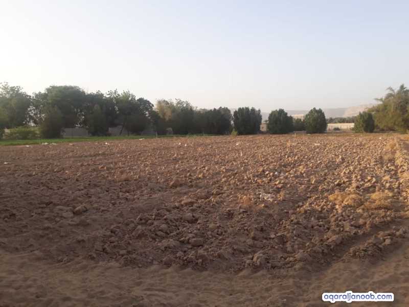 للبيع مزرعه في مريمه 7فدان