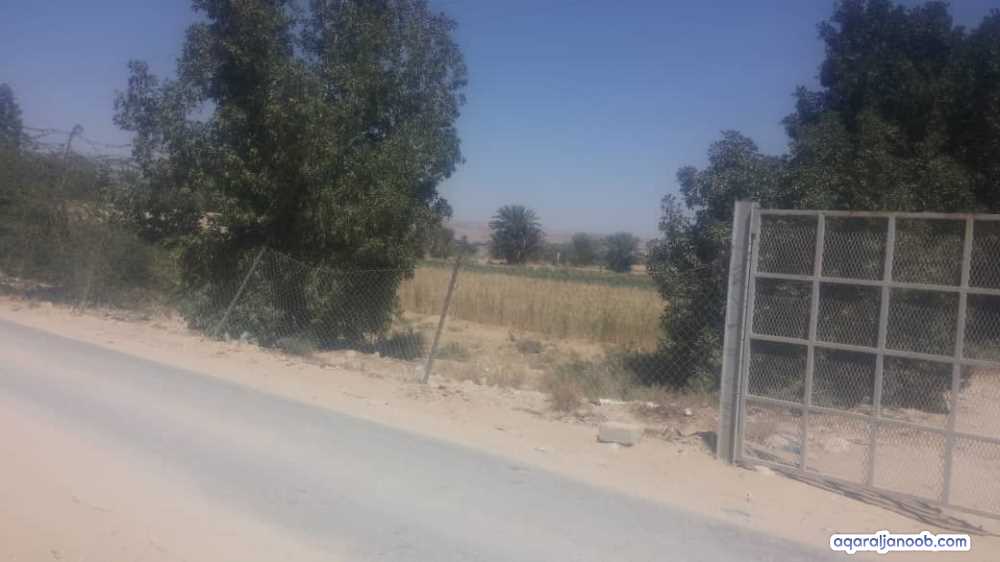 للبيع مزرعه في مريمه 7فدان