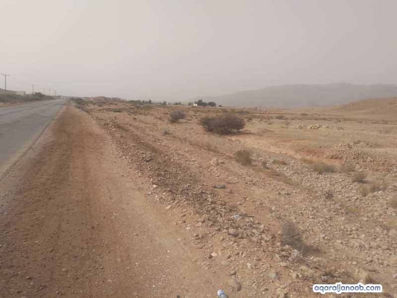 الاجار مزارع في وادي حضرموت