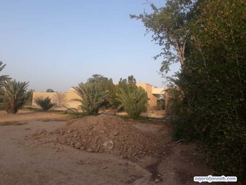 للبيع مزرعه في مريمه 7فدان