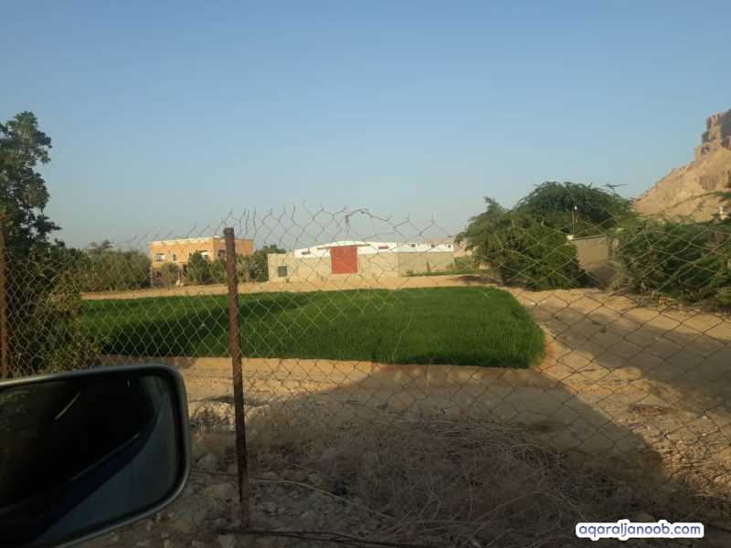 للبيع مزرعه في مريمه 7فدان