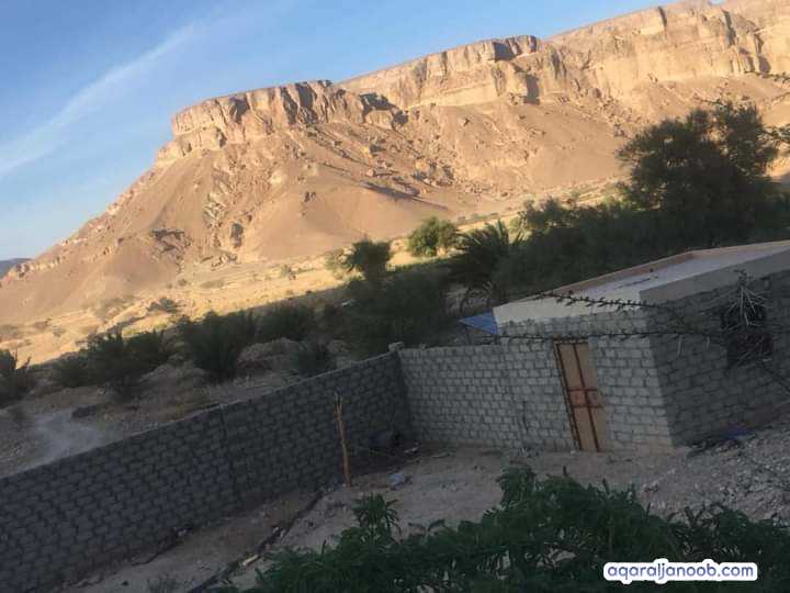 الاجار مزارع في وادي حضرموت