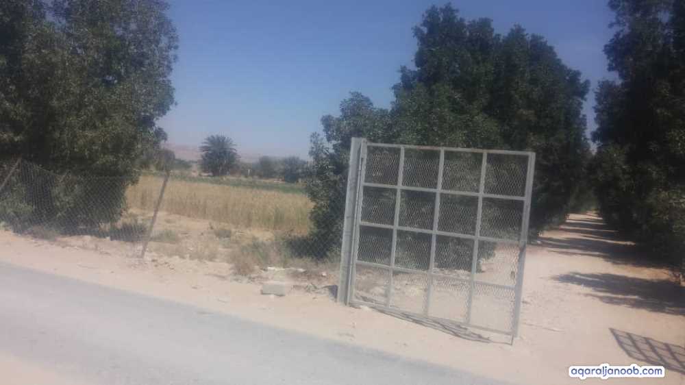 للبيع مزرعه في مريمه 7فدان