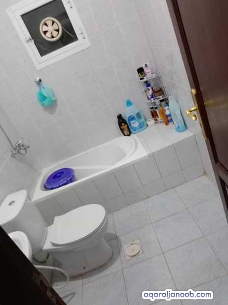صنعاء حدة العشاش