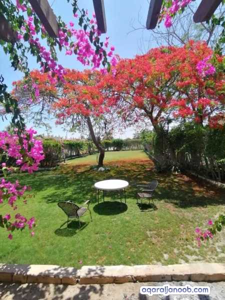 مارينا العلمين مصر