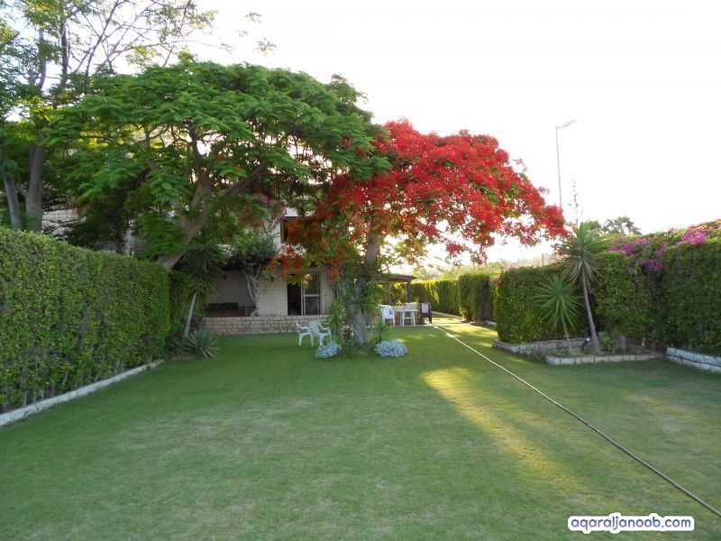 مارينا العلمين مصر