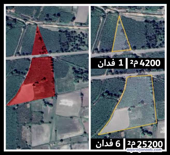 أرض زراعية وبستان في مدينة باتيس على الشارع الرئيسي