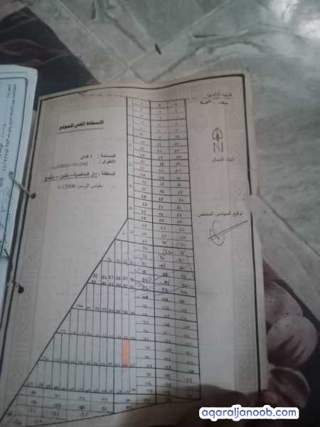 لحج في دار المناصره 